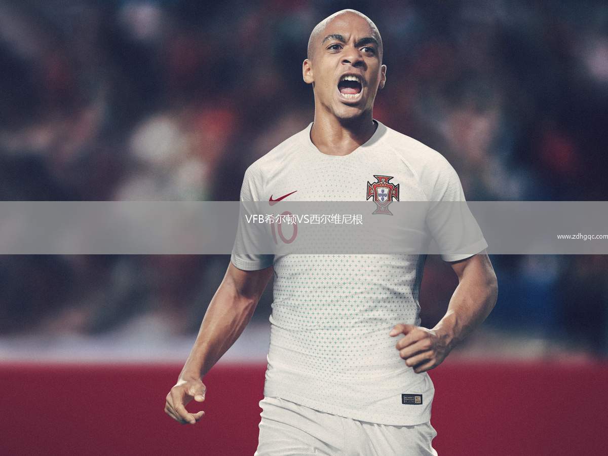 VFB希爾頓VS西爾維尼根