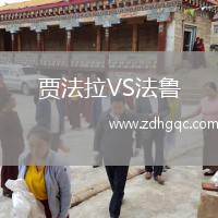 賈法拉VS法魯