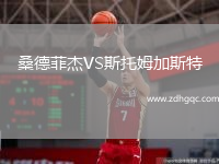 桑德菲杰VS斯托姆加斯特