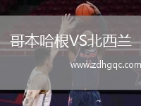 哥本哈根VS北西蘭