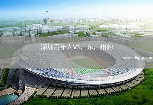深圳青年人VS廣東廣州豹
