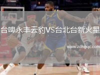 臺啤永豐云豹VS臺北臺新火星