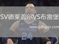 SV德萊蓋爾VS布雷堡