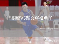 巴根熊VS斯文堡格兔子