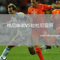 格尼維諾VS拉杜尼亞河