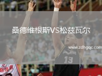 桑德維根斯VS松茲瓦爾