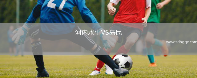 河內水牛VS島民