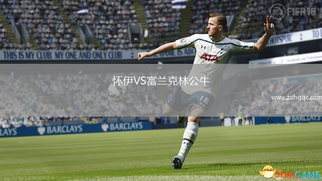 懷伊VS富蘭克林公牛