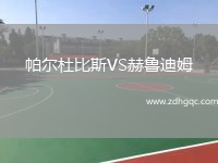 帕爾杜比斯VS赫魯迪姆