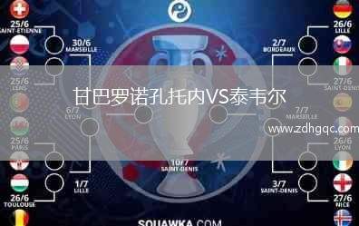 甘巴羅諾孔托內VS泰韋爾