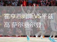 霍亨恩姆斯VS平茲高 薩爾費爾登