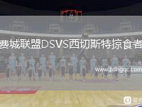 費城聯(lián)盟DSVS西切斯特掠食者