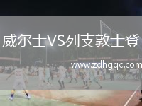 威爾士VS列支敦士登