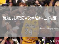 瓦加城流浪VS堪培拉白頭鷹