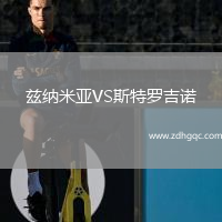 茲納米亞VS斯特羅吉諾