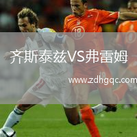 齊斯泰茲VS弗雷姆