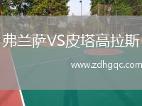弗蘭薩VS皮塔高拉斯